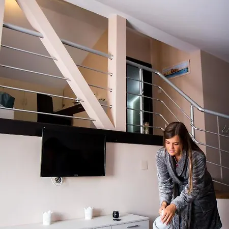 酒店 丹妮卡酒店