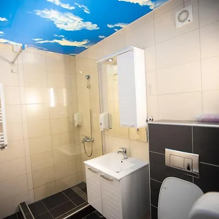 丹妮卡酒店 酒店 2*