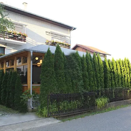 酒店 丹妮卡酒店 2*