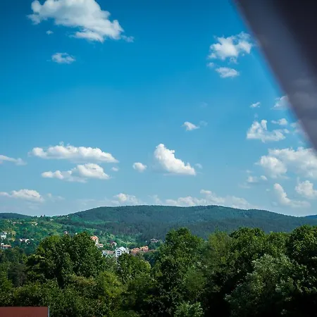 酒店 丹妮卡酒店 2*