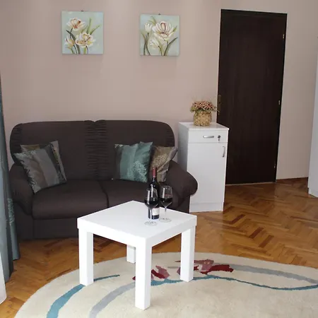 Danica Vrnjačka Banja