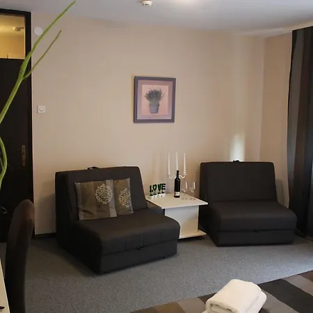 酒店 丹妮卡酒店