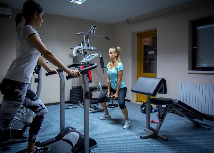 Danica Hotel Vrnjačka Banja