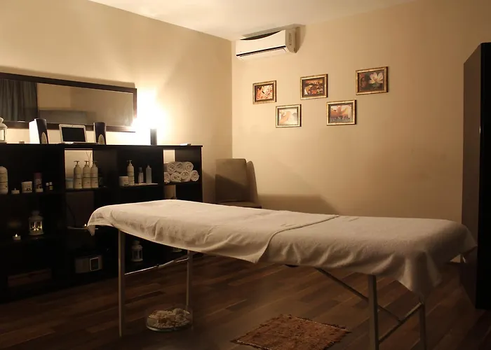 Danica Vrnjačka Banja